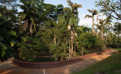 Parque da Ciência Butantan reabre ao público