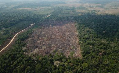 Pastagem com manejo e área agrícola avançam sobre vegetação nativa