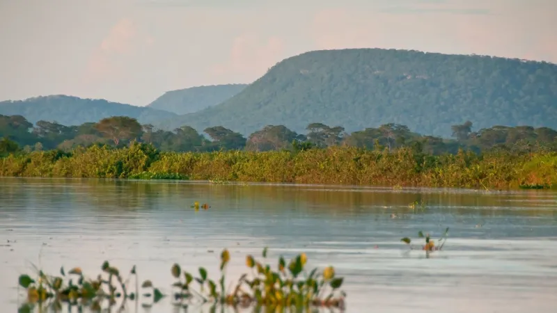 Cerrado brasileiro perdeu 13,9 milhões de hectares de margens de rios