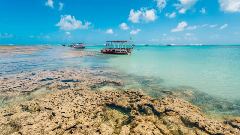 Praia do Patacho tem selo Bandeira Azul renovado pelo 5º ano seguido