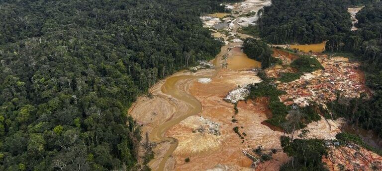 Desmatamento da floresta amazônica teve queda de 50% em 2023