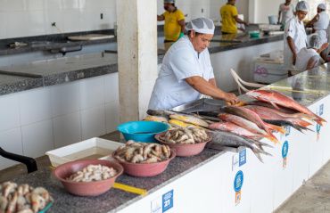 Visa Maceió orienta consumidores sobre como escolher os pescados para o almoço da Páscoa