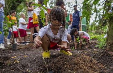 Dia da Árvore é comemorado com plantio de mudas no Parque Municipal