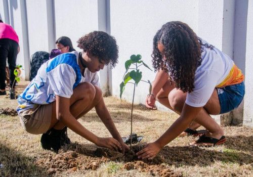 IMA promove plantio de 7 mil mudas em Coruripe em celebração ao Dia Mundial do Meio Ambiente