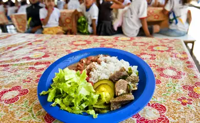 BNDES destina verba do Fundo da Amazônia para merenda escolar