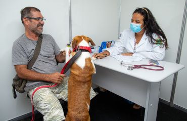 Maceió encerra campanha de vacinação antirrábica com 75 mil animais imunizados