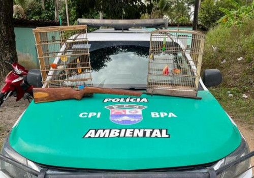 PM apreende 187 quilos de maconha em Arapiraca