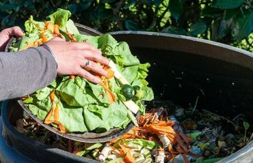 Processo de compostagem contribui para reutilizar rejeitos e resíduos
