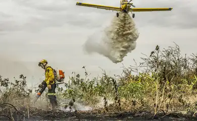 Pantanal: redução da área alagada tem favorecido aumento de incêndios