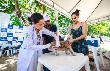 Em Maceió, mais de três mil animais foram vacinados contra a raiva neste fim de semana; confira próximos locais