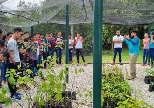Dia da Árvore: IMA celebra data e intensifica ações de arborização e reflorestamento