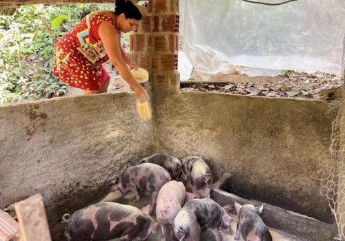 Primeira parcela do programa Fomento Rural é paga a agricultores familiares a partir de terça-feira