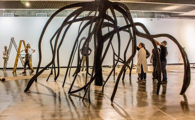Centenário de Frans Krajcberg é celebrado com exposição
