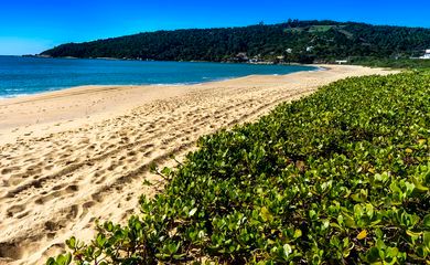 Número de praias e marinas premiadas no Bandeira Azul pode aumentar