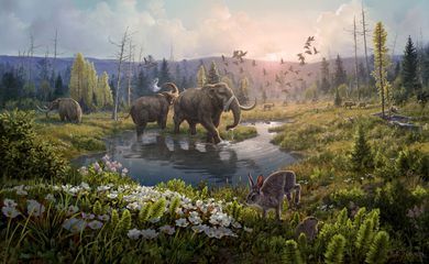 DNA mais antigo já identificado revela mundo perdido da Groenlândia