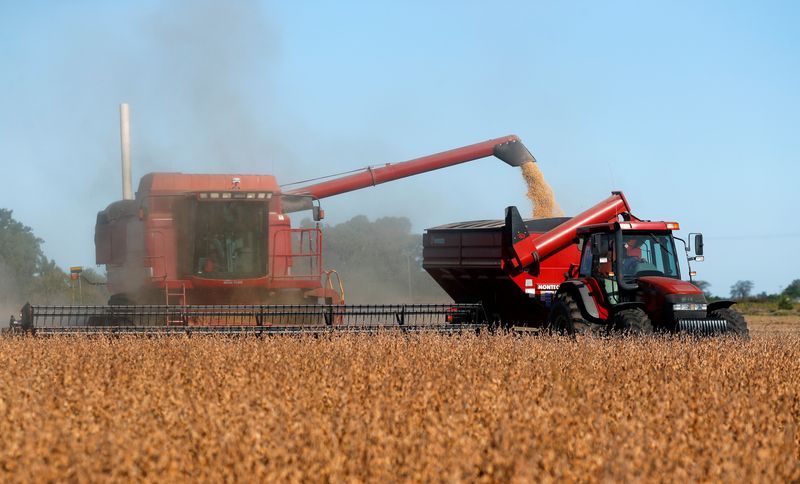 Reforma Tributária deve elevar impostos dos setores de serviços e agricultura