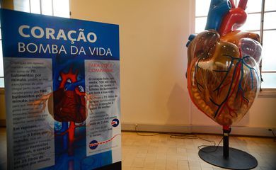 Internações por infarto aumentam mais de 150% no Brasil