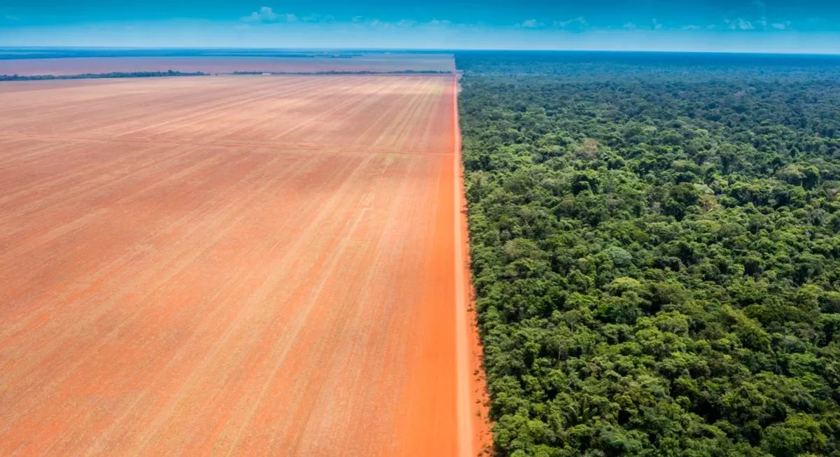 Alertas de desmatamento disparam no Cerrado e caem na Amazônia