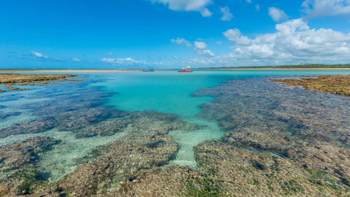 Praia de Alagoas é considerada uma das 100 melhores praias do mundo