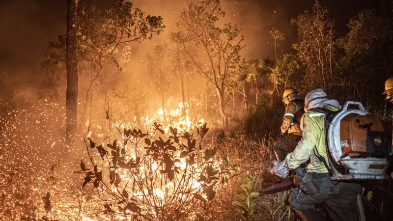Ibama extingue 229 incêndios no Amazonas e segue no combate ao fogo