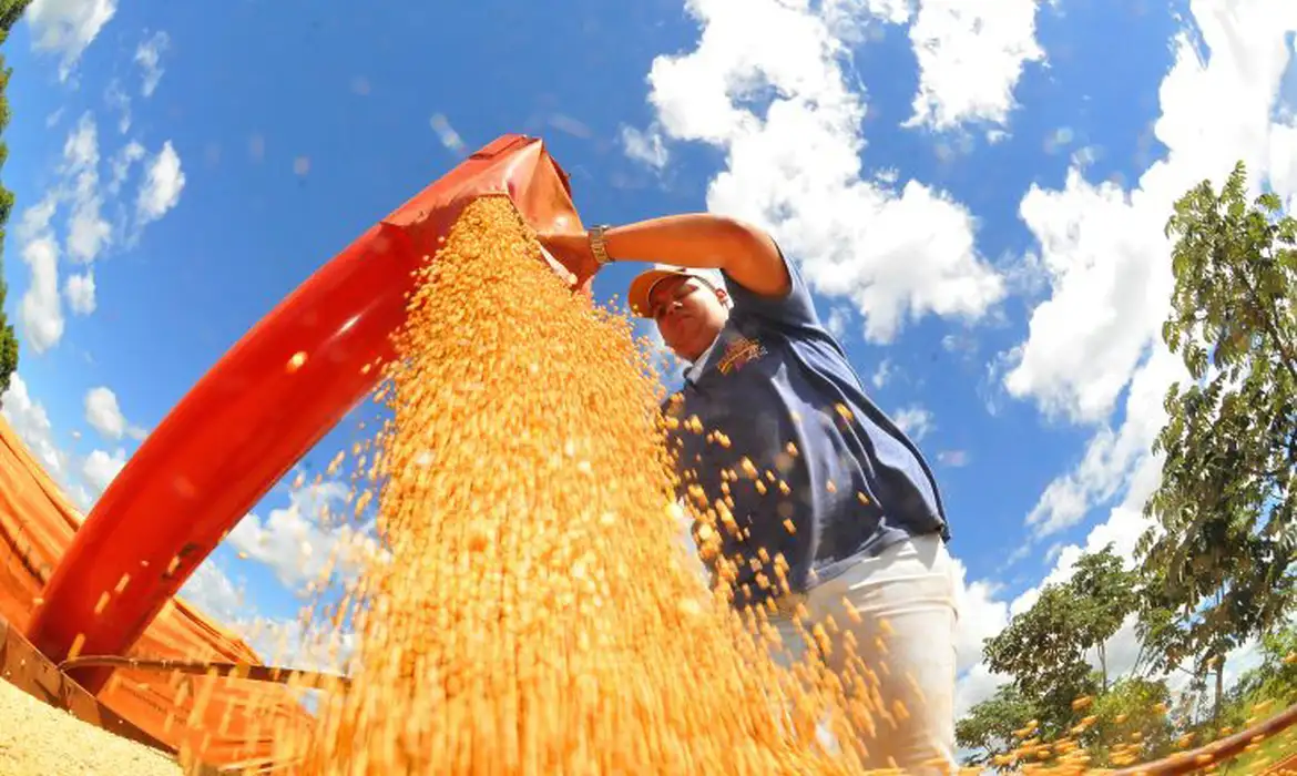 Turbinado pela agropecuária, PIB do Brasil avança 1,4% no 1º trimestre