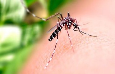 Saúde alerta população sobre medidas preventivas para combater o Aedes aegypti