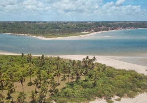 IMA sobrevoa praias do Litoral Norte para tentar identificar novos pontos de maré vermelha