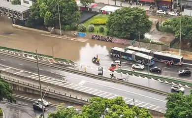 Homem morre após ser atingido por queda de árvore durante temporal