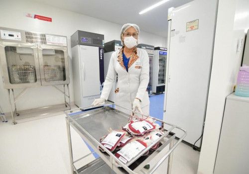 Festas de final de ano: Hemoal está com estoque crítico de sangue com tipagem negativa