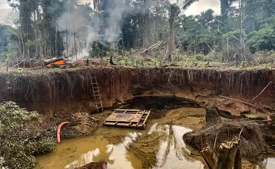 PF e ICMBio desativam garimpos ilegais no Pará