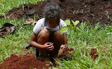Estudo revela efetividade das ações de conservação ambiental