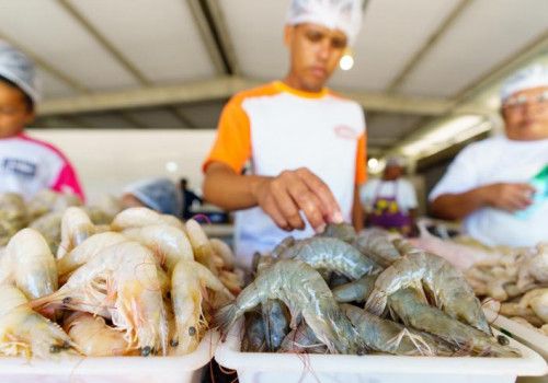 Fapeal e Ministério da Pesca lançam edital para o ensino médio