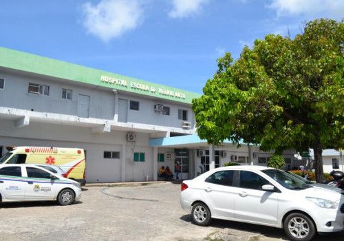 Febre do Oropouche: ocorrências fora da região Norte acendem alerta do Governo para doença transmitida por mosquito