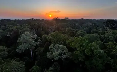 Começa hoje em Brasília a 5ª Conferência Nacional do Meio Ambiente