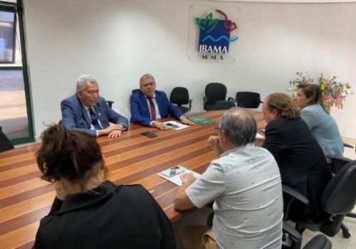 Secretaria do Meio Ambiente discute com Ibama revogação de decreto que autoriza ácido sulfúrico no porto de Maceió