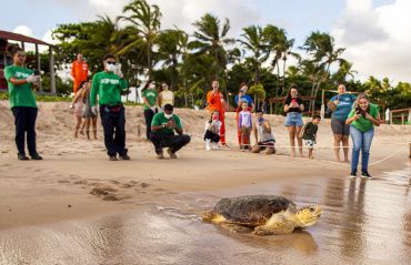 Prefeitura de Maceió participa de soltura de tartaruga em Guaxuma