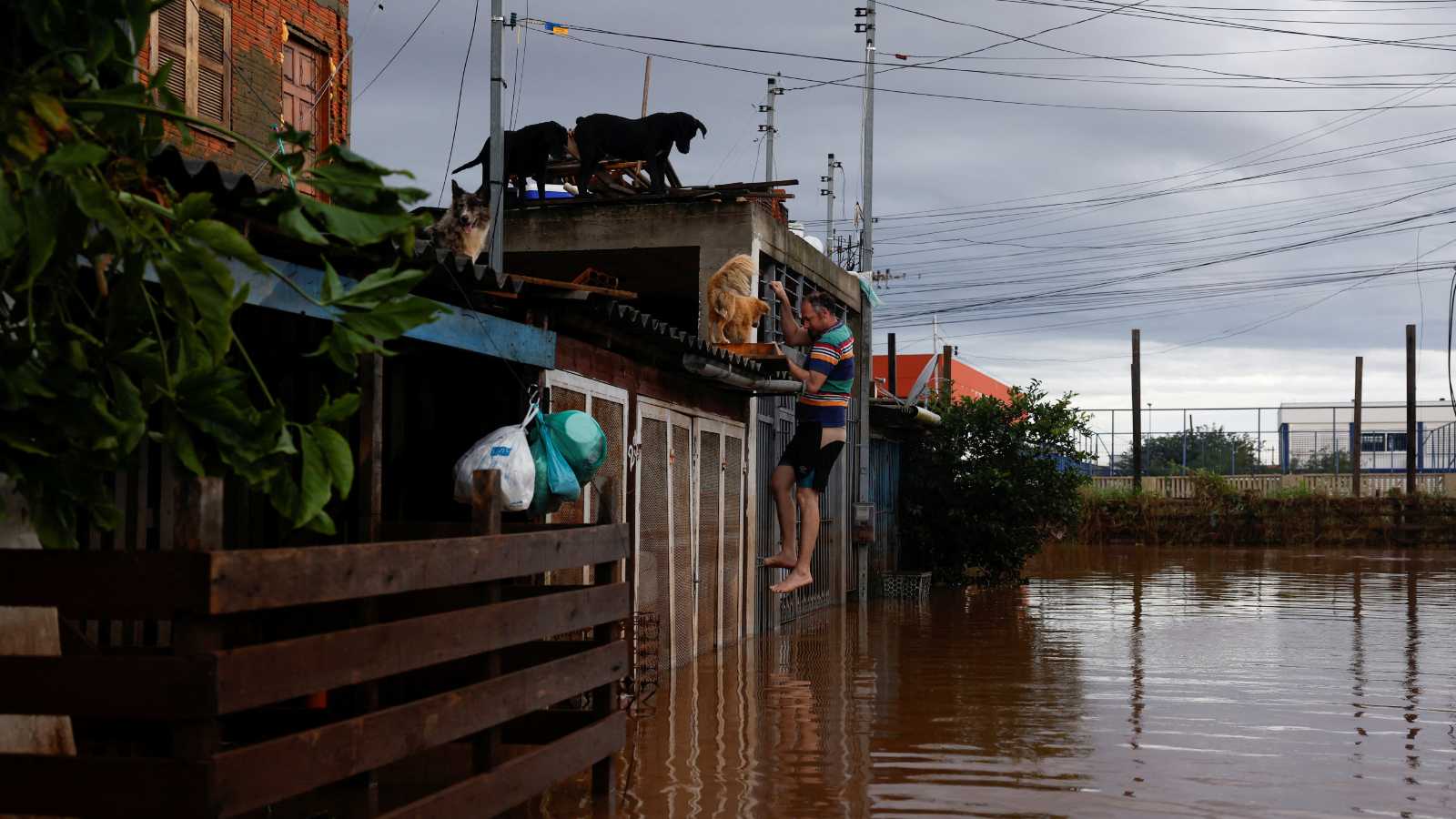 Moradores de Porto Alegre e mais 9 cidades do RS já podem solicitar o saque calamidade