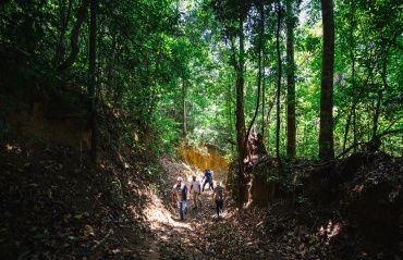 Trilha pela Mata Atlântica em Fernão Velho é reativada após ações de limpeza e iluminação