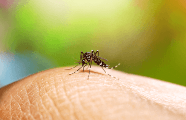 Mobilização nacional de prevenção à dengue acontece neste sábado (14)