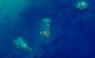 Pesquisa aponta 20,4 mil hectares de recifes de coral na costa do país