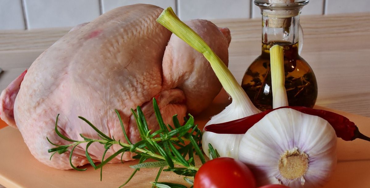 Por que o frango cru não deve ser lavado nunca?