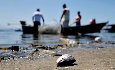 Baía de Guanabara tem neste sábado um dia de limpeza