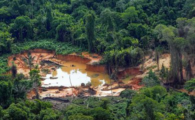 Mulher é encontrada morta em Terra Indígena Yanomami