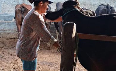 Agricultura familiar ajuda a aumentar produção leiteira no Nordeste