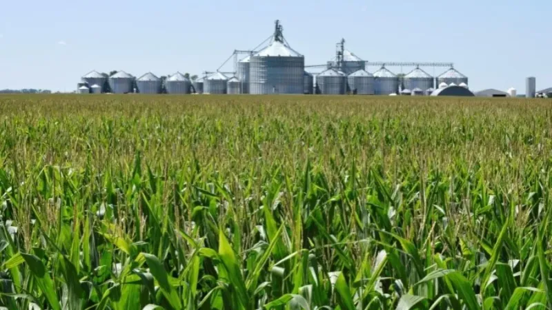 Brasil está pronto para elevar mistura de etanol na gasolina? Entenda a discussão