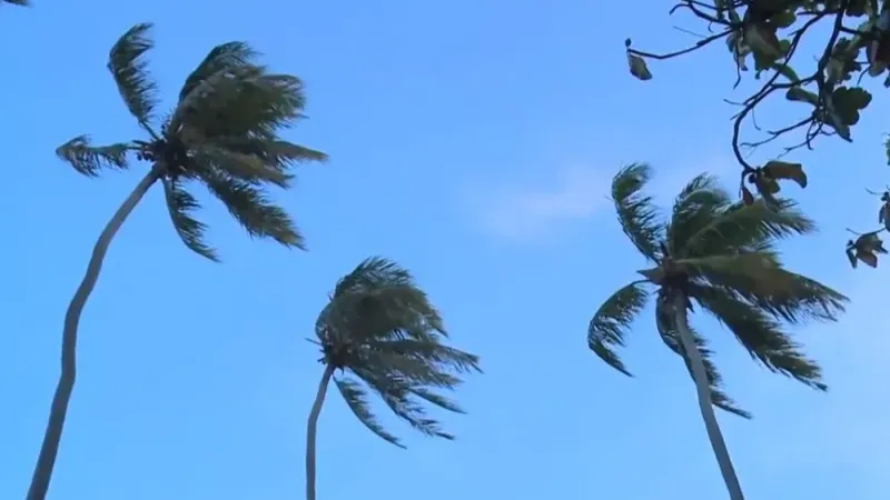 Rajadas de vento acima de 50 km/h atingem Alagoas até sexta (21), alerta Semarh