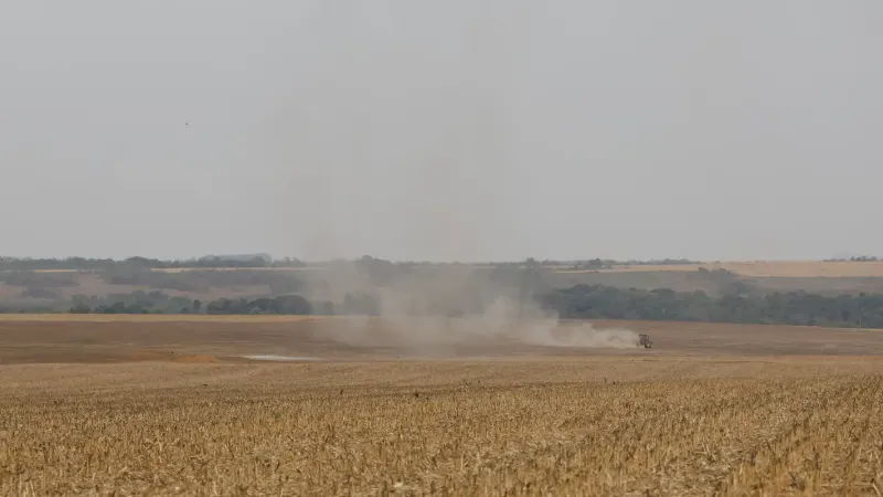 Estudo propõe avanços na rastreabilidade ambiental da soja e da carne