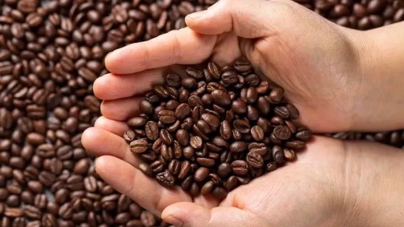 Brasil tem 7 cafeterias entre as 100 melhores da América do Sul