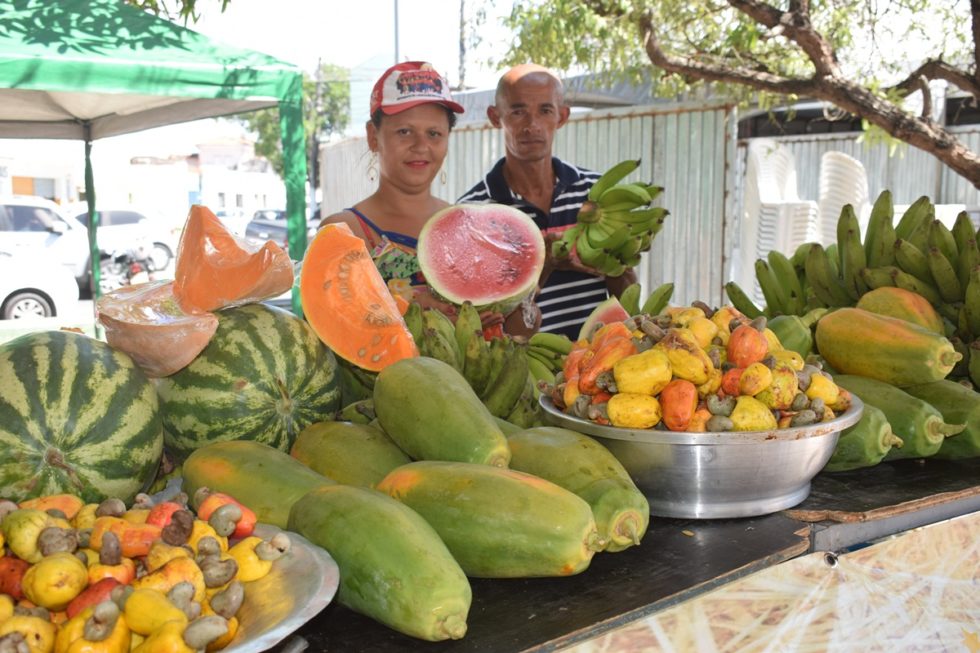 Feira Agroecológica Novo Jardim