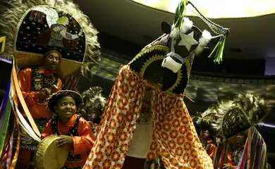 Hoje é Dia: semana celebra Bumba-Meu-Boi, capoeira e combate racismo